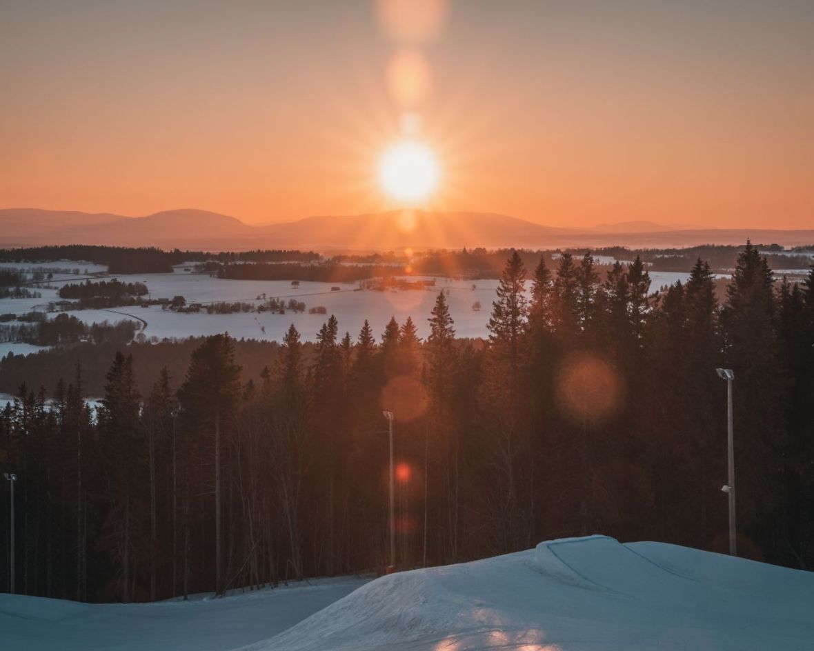 Fors i skog