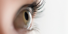Närbild på öga från sidan