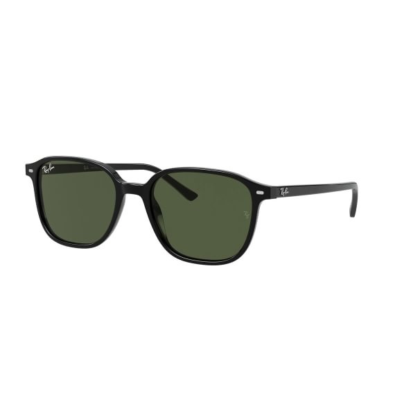 Ray-Ban Leonard RB2193 901/31 53