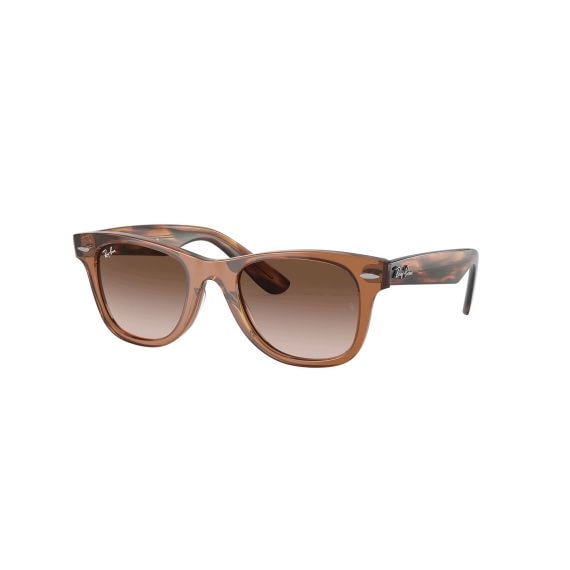 Ray-Ban Junior Wayfarer