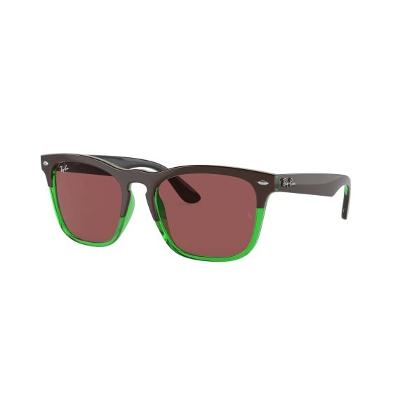 Ray-Ban Steve RB4487 663469 5418