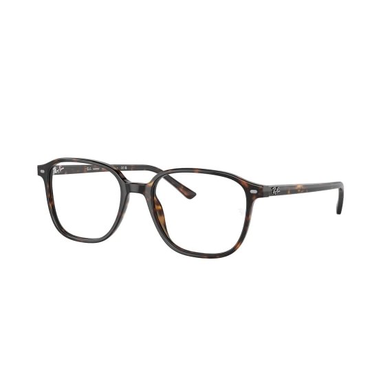 Ray-Ban Leonard RB2193 902/GH 5318