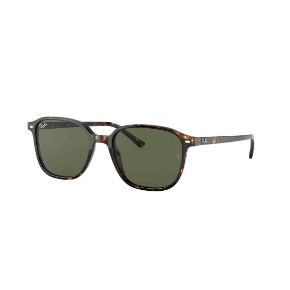 Ray-Ban Leonard RB2193 902/31 5518