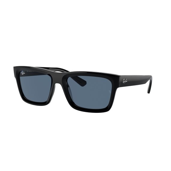 Ray-Ban Warren RB4396 667780 5420