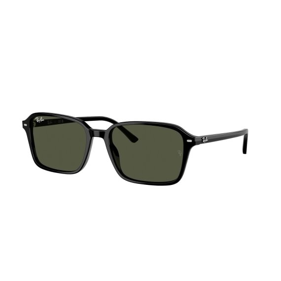 Ray-Ban Raimond RB2231 901/31 5818