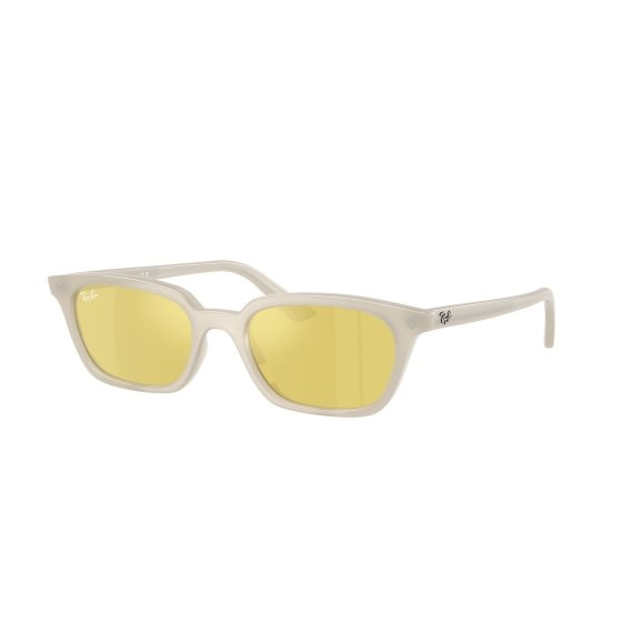 Ray-Ban Zaya RB4456 68086D 5019