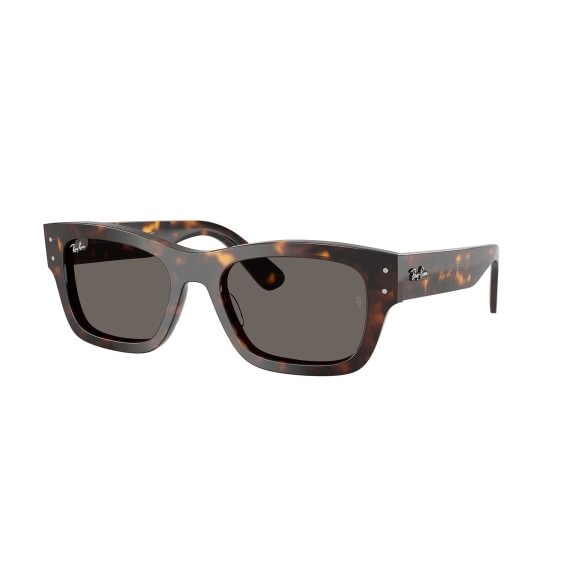 Ray-Ban Joseph RB7683S 902/B1 5520