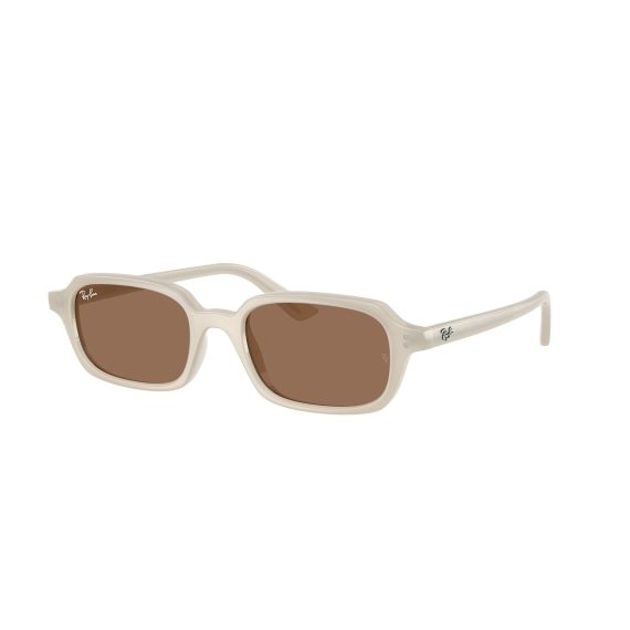Ray-Ban Zuri RB4455 680873 5219