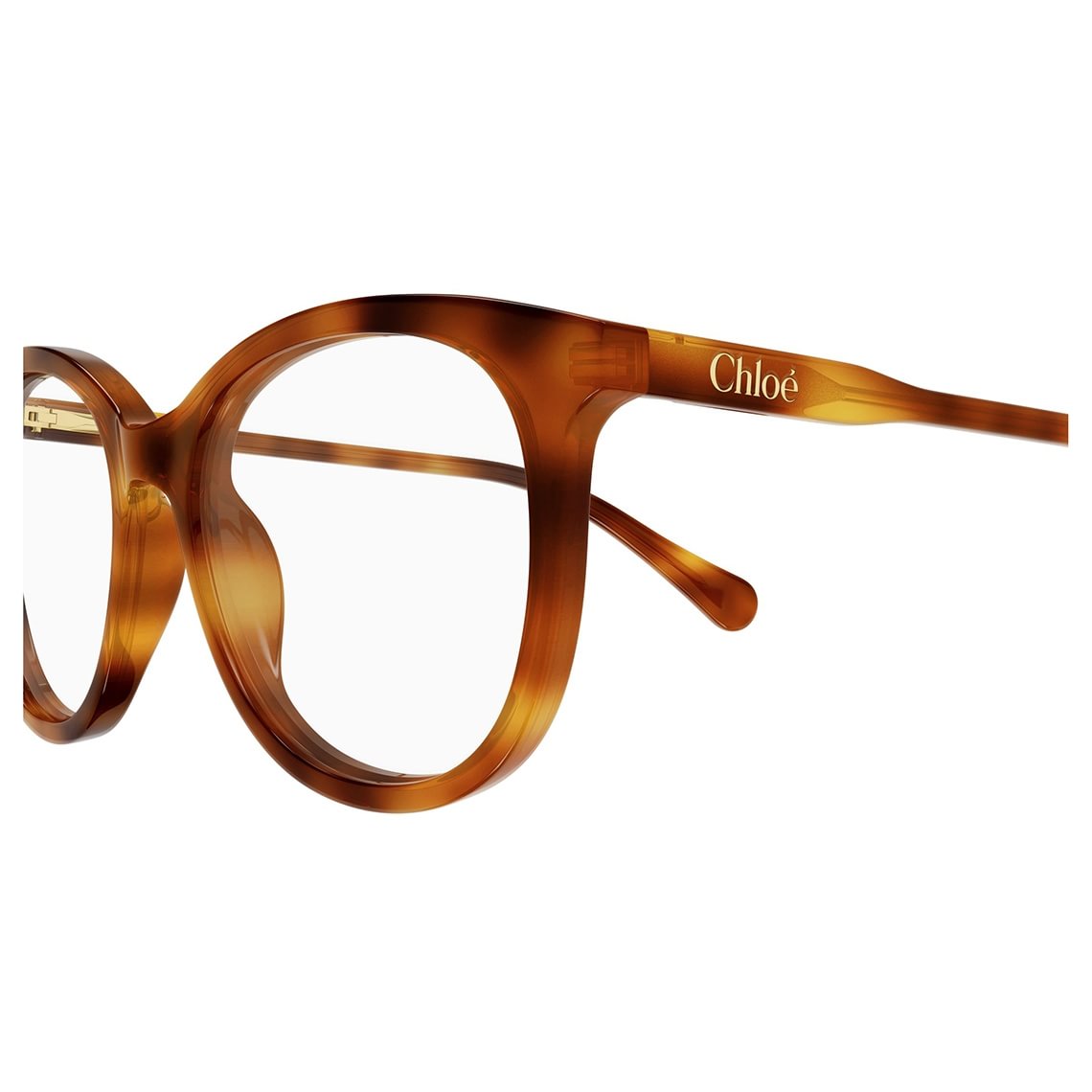 Chloé CC0028O 003 4815