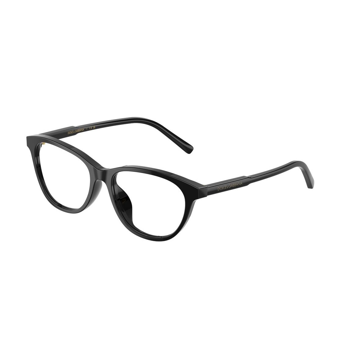 Dolce & Gabbana DX3002 501 5015